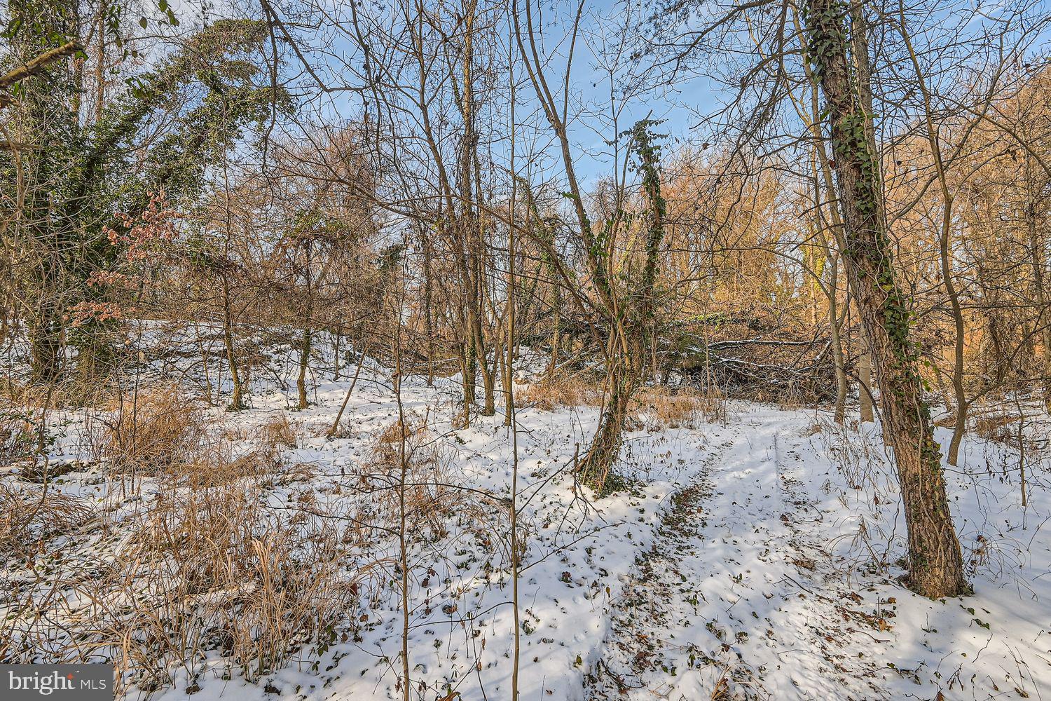 Sumter Avenue Rosedale, MD 21237 - Photo 6 of 11 a view of a yard with large trees