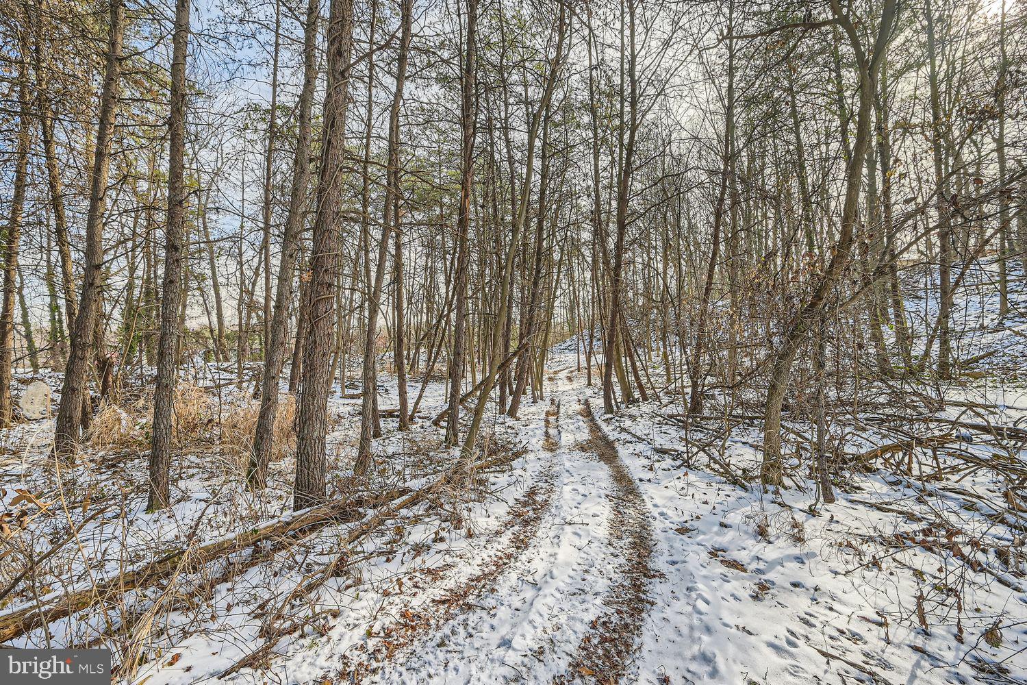 Sumter Avenue Rosedale, MD 21237 - Photo 7 of 11 a view of small yard