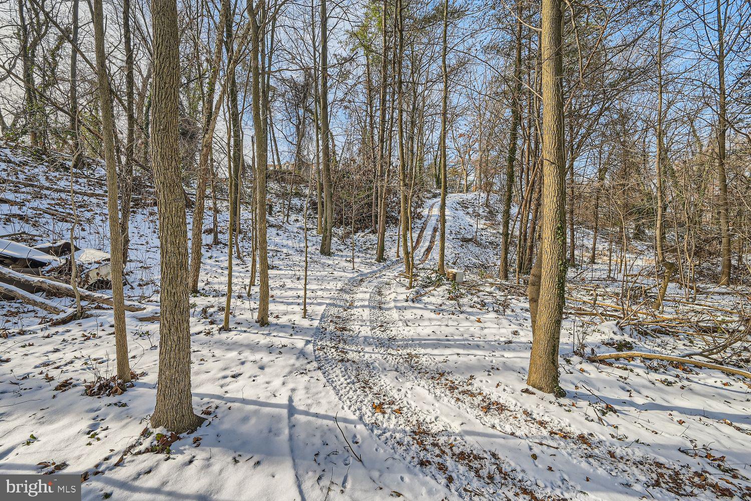 Sumter Avenue Rosedale, MD 21237 - Photo 8 of 11 a view of a yard with trees