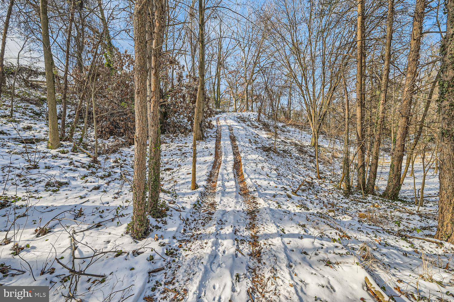 Sumter Avenue Rosedale, MD 21237 - Photo 9 of 11 a backyard of a building
