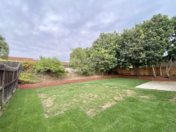 a view of a backyard with large trees