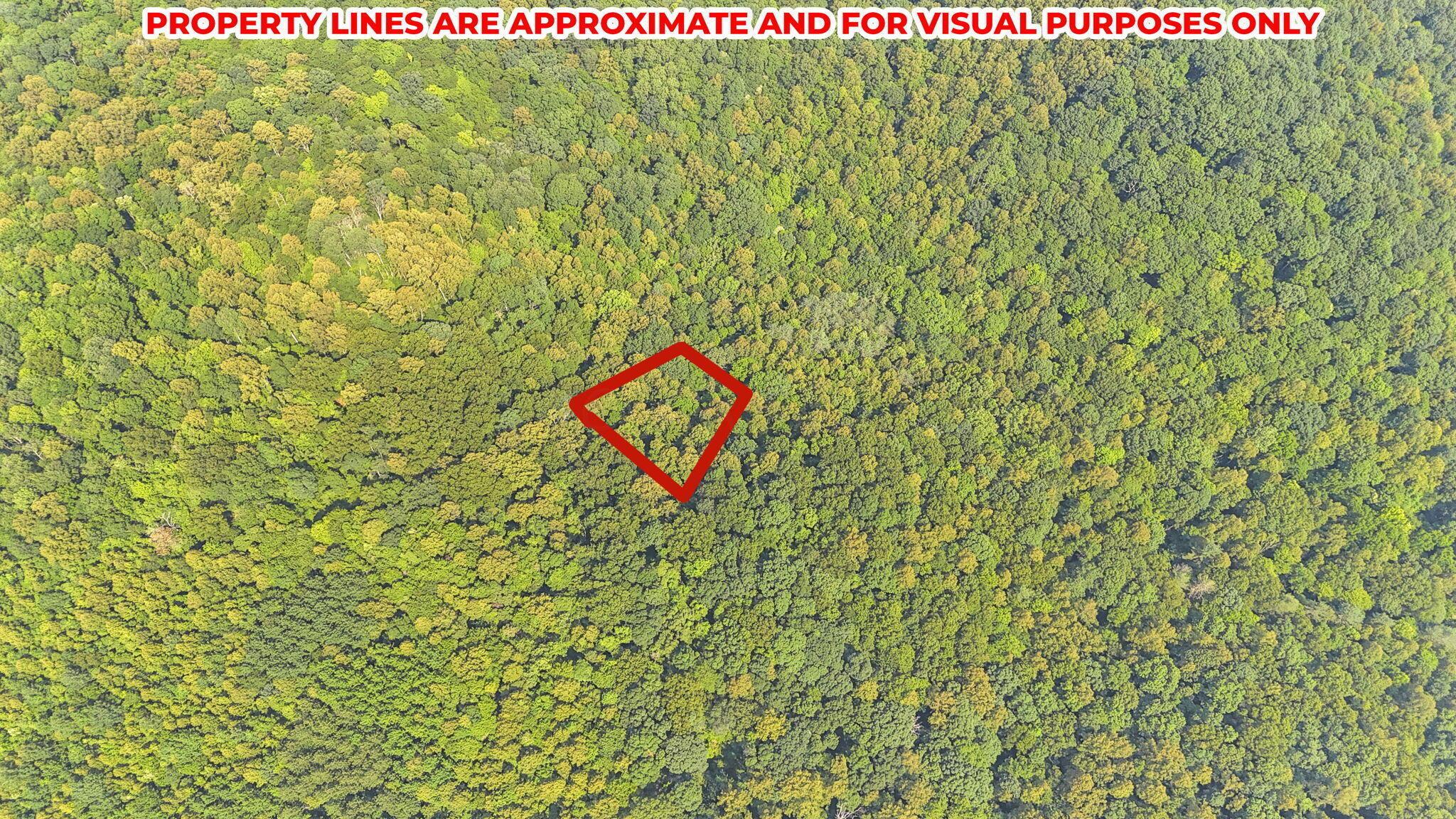0 Thad Hall Road Laurelville, OH 43135 - Photo 23 of 28 13-web-or-mls-DJI_20240621161556_0072_D