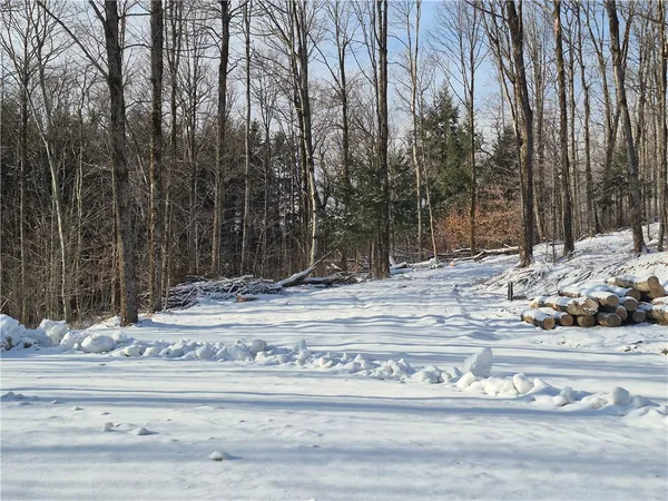 $298,500 | Carson Road, Cortland, NY 13045