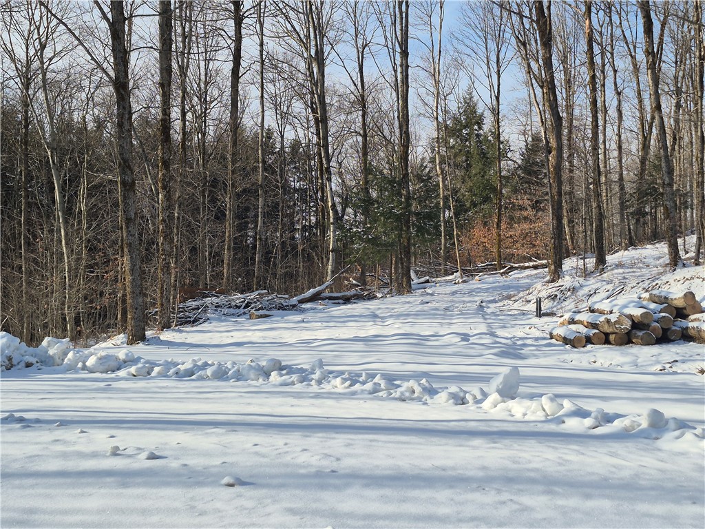 Carson Road Cortland, NY 13045 - Photo 18 of 20