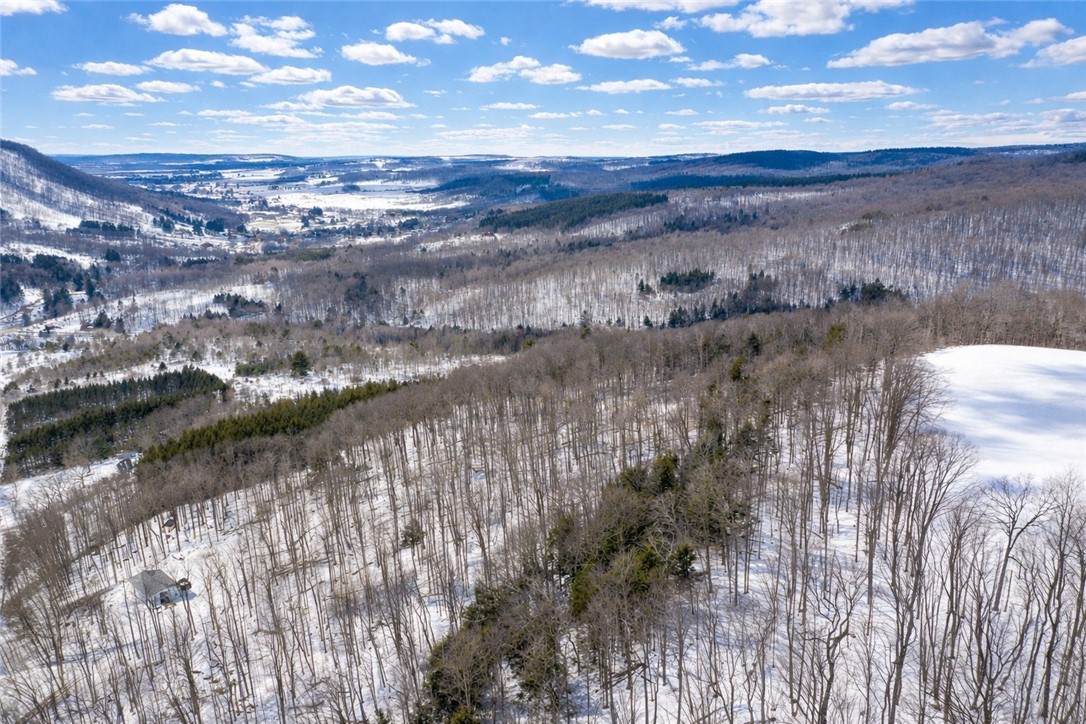 Carson Road Cortland, NY 13045 - Photo 20 of 20