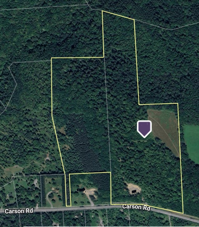Carson Road Cortland, NY 13045 - Photo 4 of 20