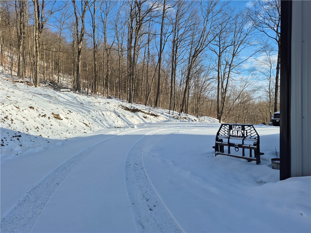 Carson Road Cortland, NY 13045 - Photo 7 of 20