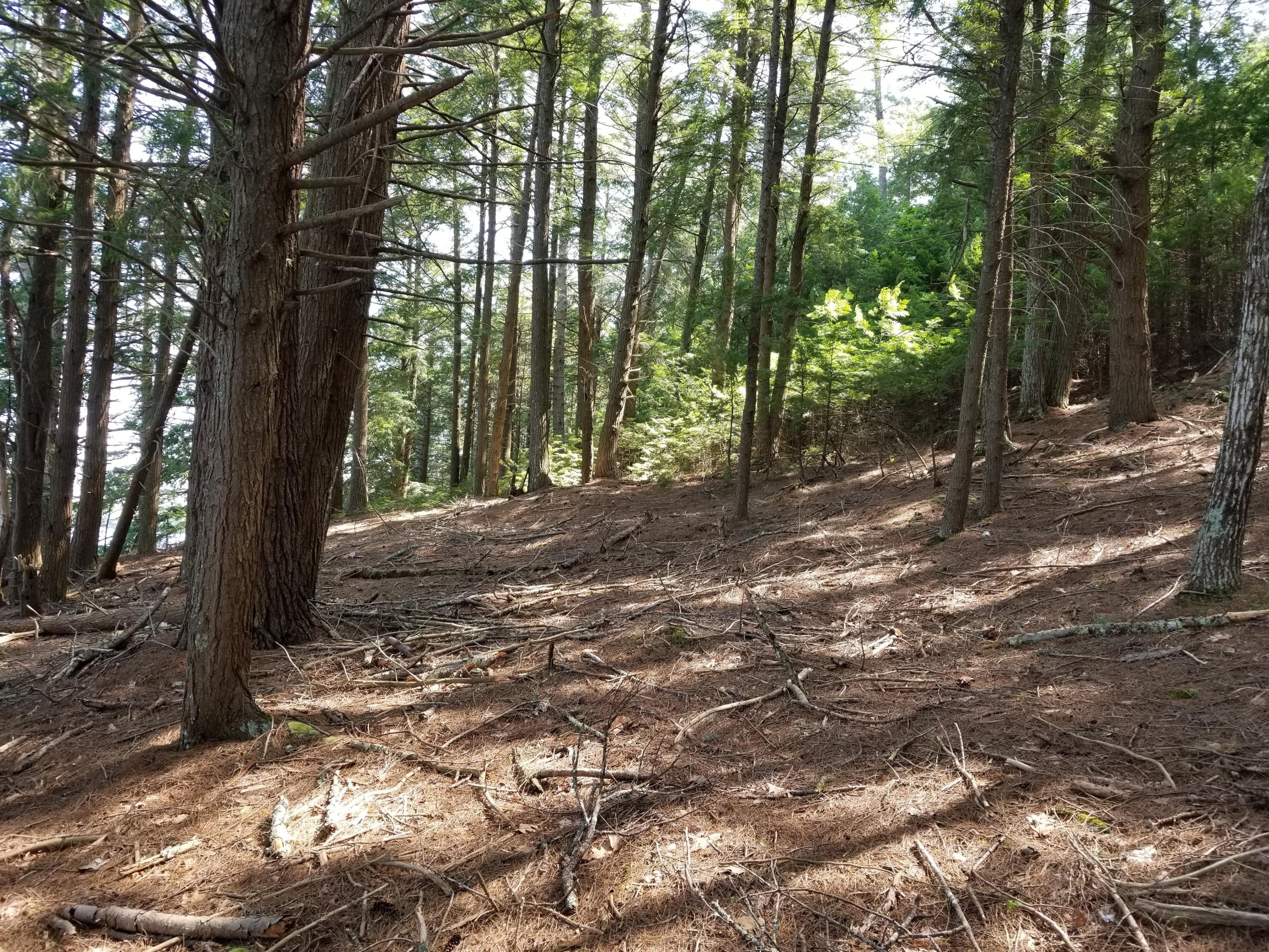 Tbd West Neck Road Nobleboro, ME 04555 - Photo 5 of 11 20190715_103719