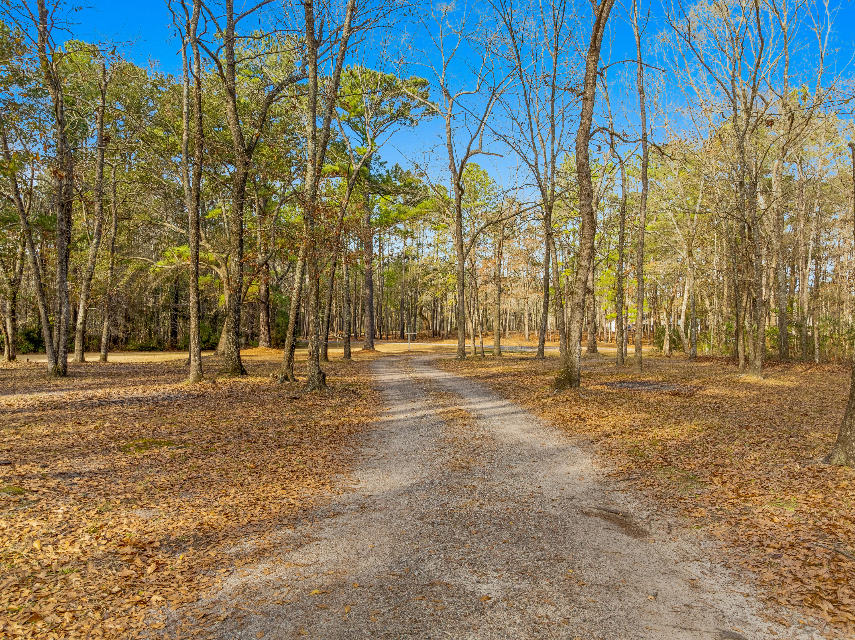 245 Kingrail Lane Huger, SC 29450 - Photo 30 of 52 Kingrail.NicoleBurbgePhoto-9