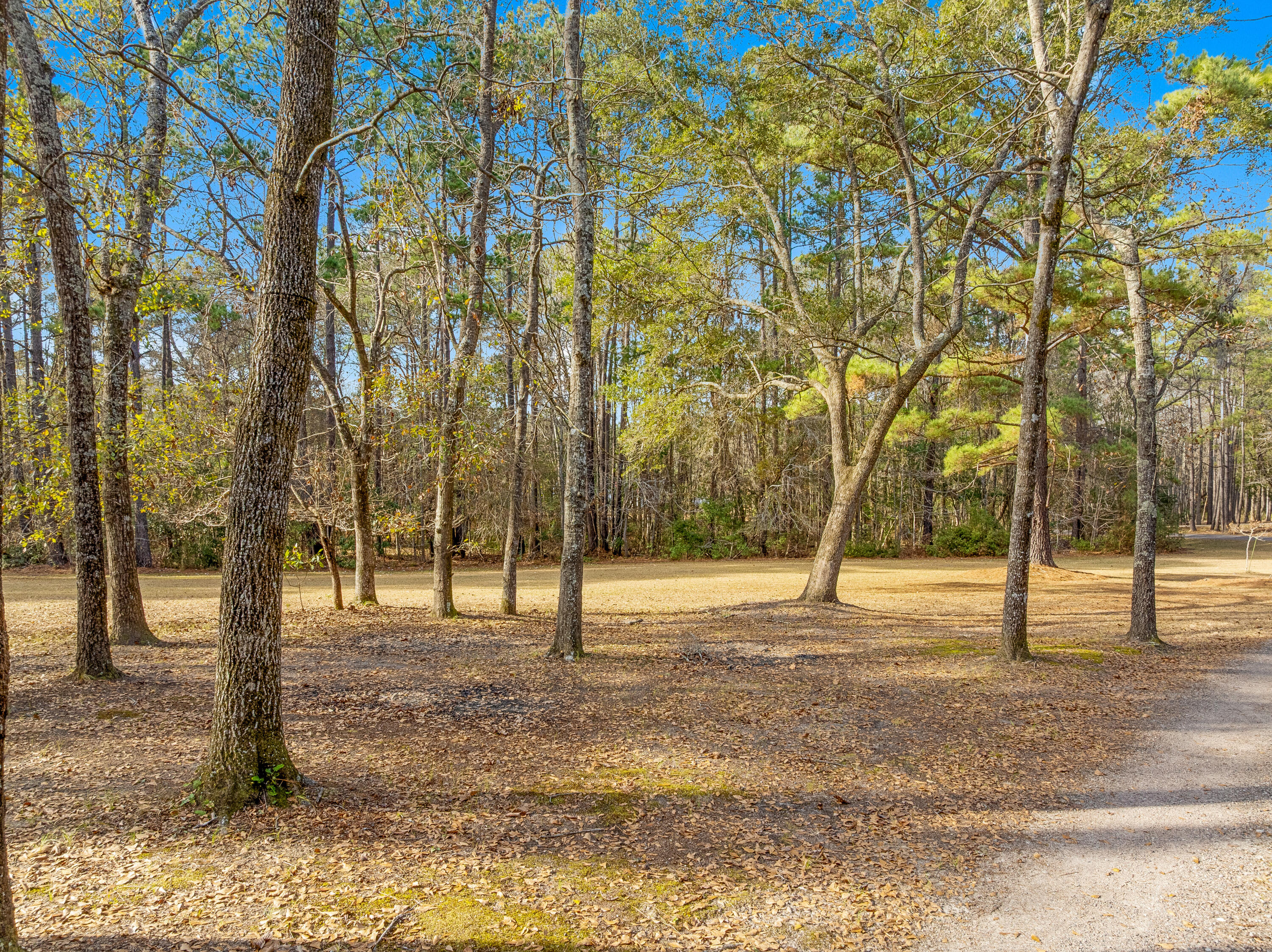 245 Kingrail Lane Huger, SC 29450 - Photo 31 of 52 Kingrail.NicoleBurbgePhoto-10