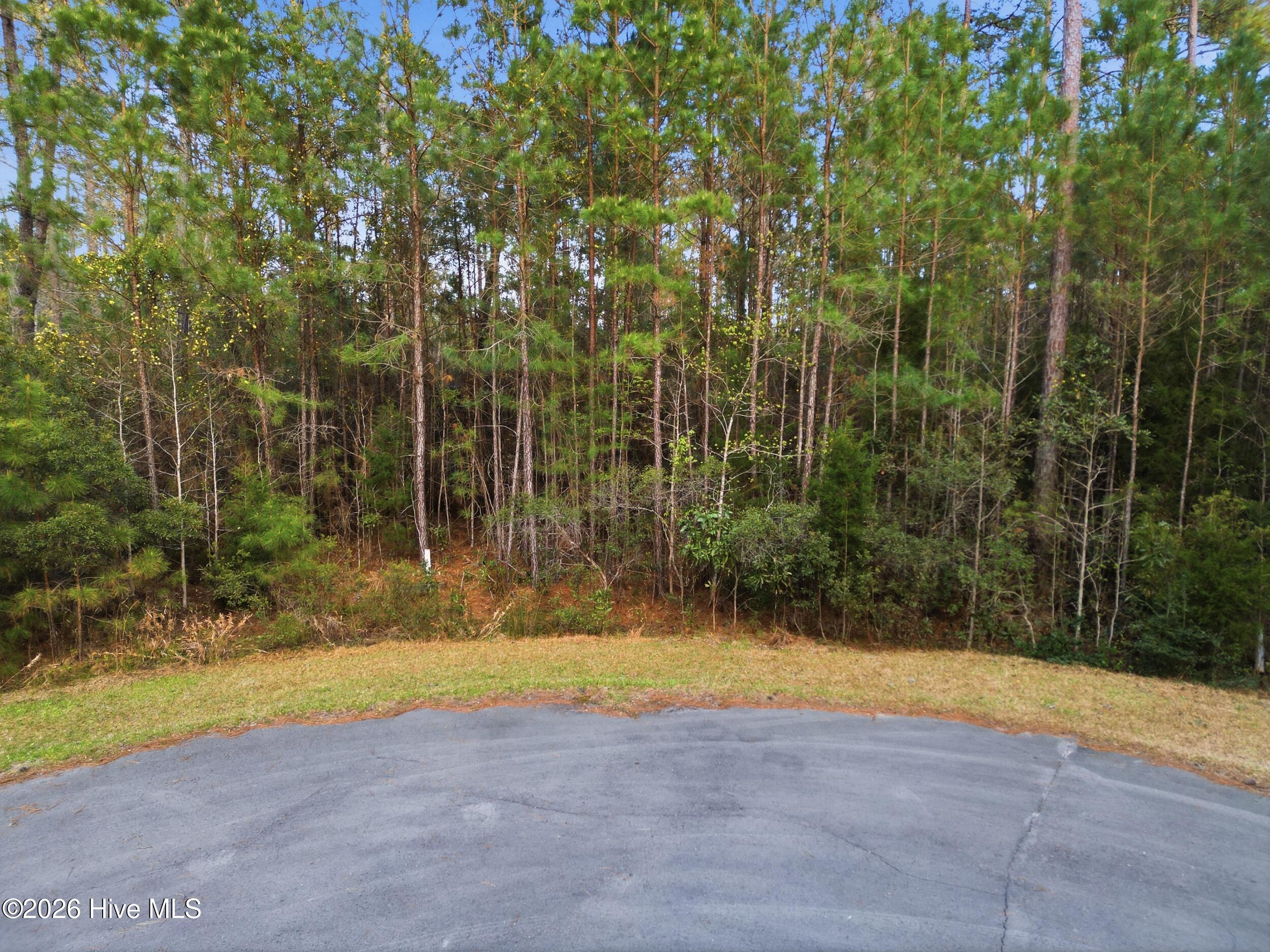 121 Mason Lane Merritt, NC 28556 - Photo 4 of 13 121 Mason Lane, Merritt, NC 28556