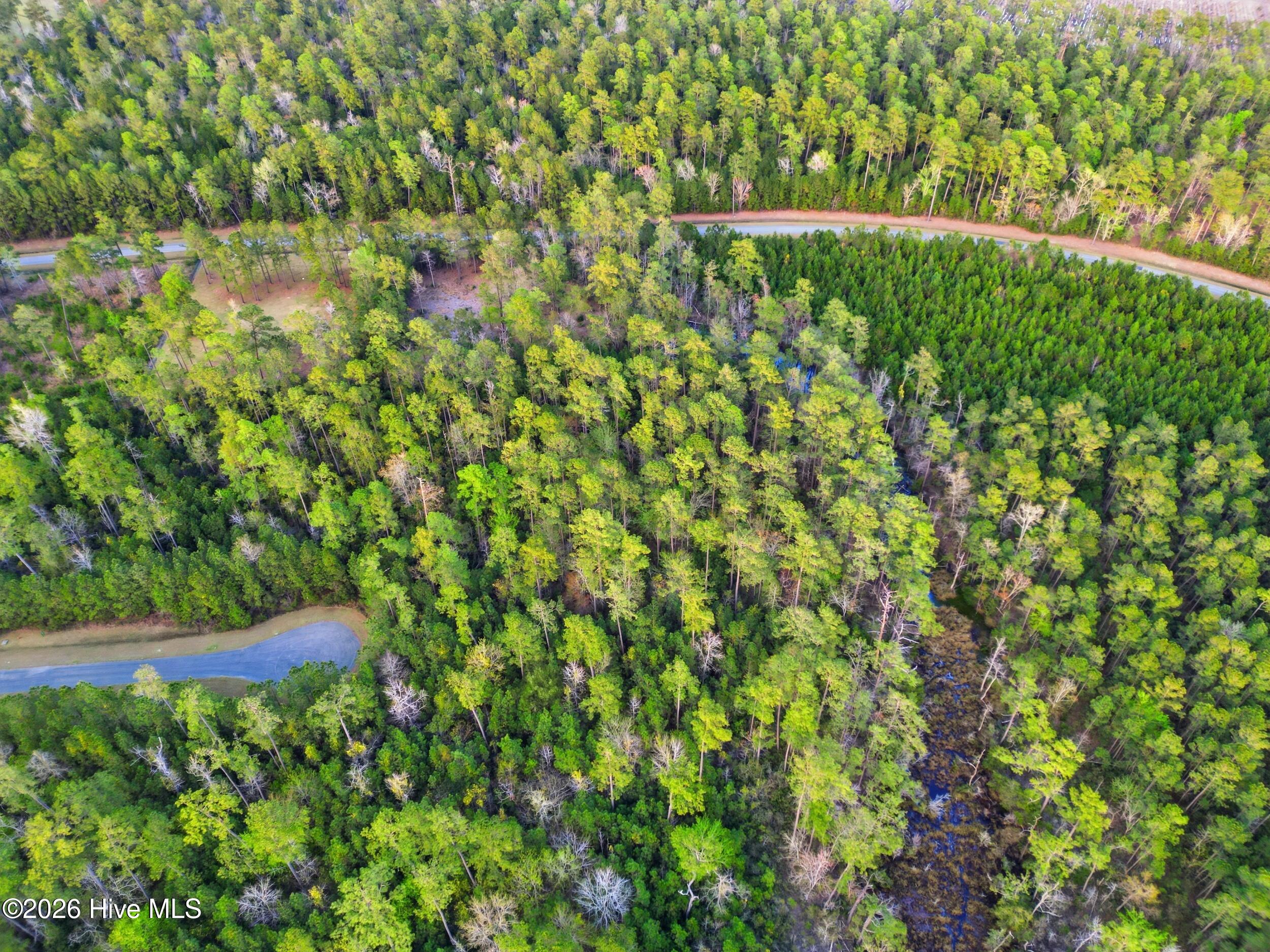 121 Mason Lane Merritt, NC 28556 - Photo 7 of 13 121 Mason Lane, Merritt, NC 28556