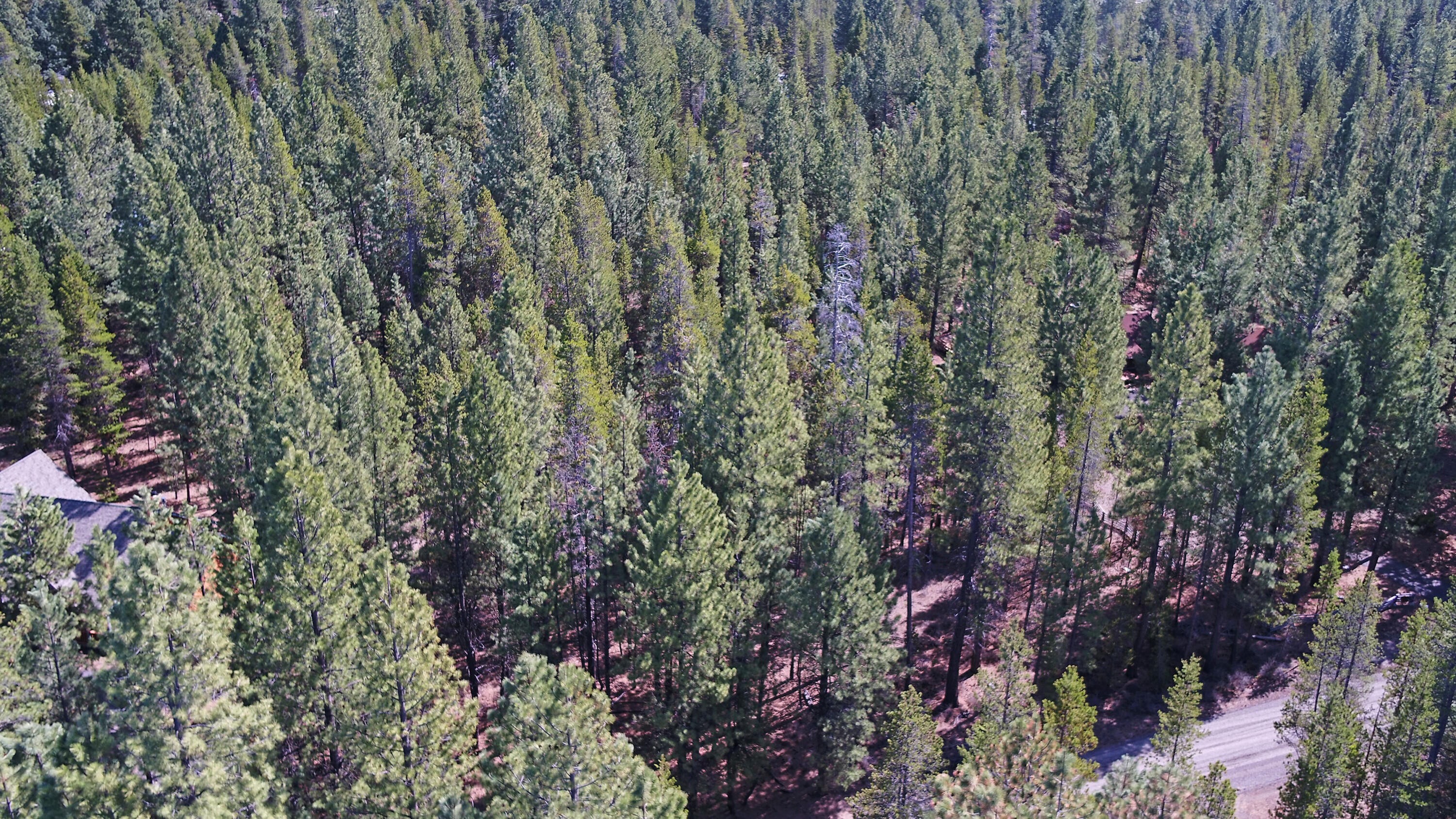 56748 Spring River Loop Bend, OR 97707 - Photo 11 of 17 09
