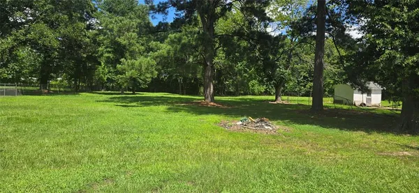 a view of a park with large trees