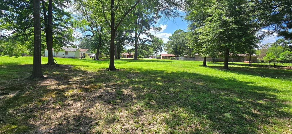 0 Elm Springhill, LA 71075 - Photo 3 of 5 a view of a park with large trees
