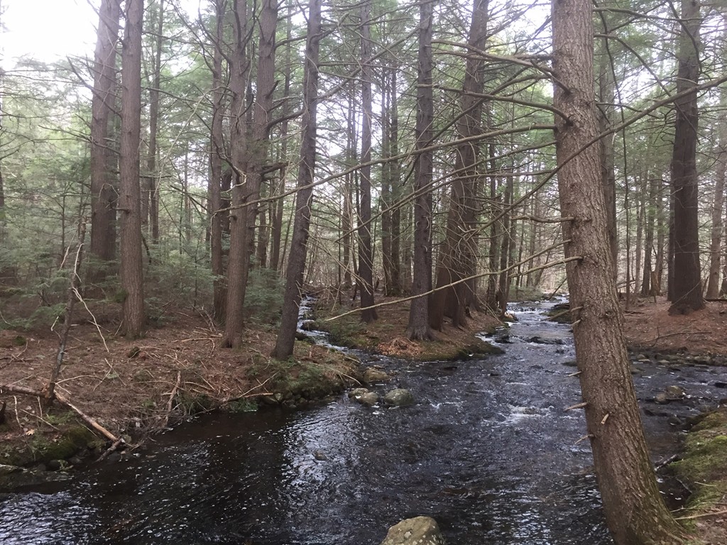 0 Tuckerman Road Ashburnham, MA 01430 - Photo 1 of 5