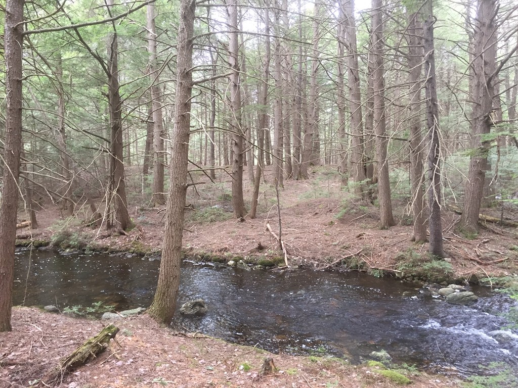 0 Tuckerman Road Ashburnham, MA 01430 - Photo 2 of 5