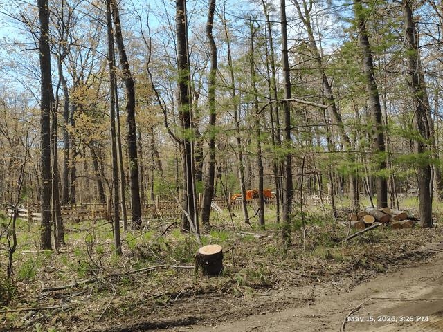6230 Shellenbarger Road Hale, MI 48739 - Photo 31 of 46