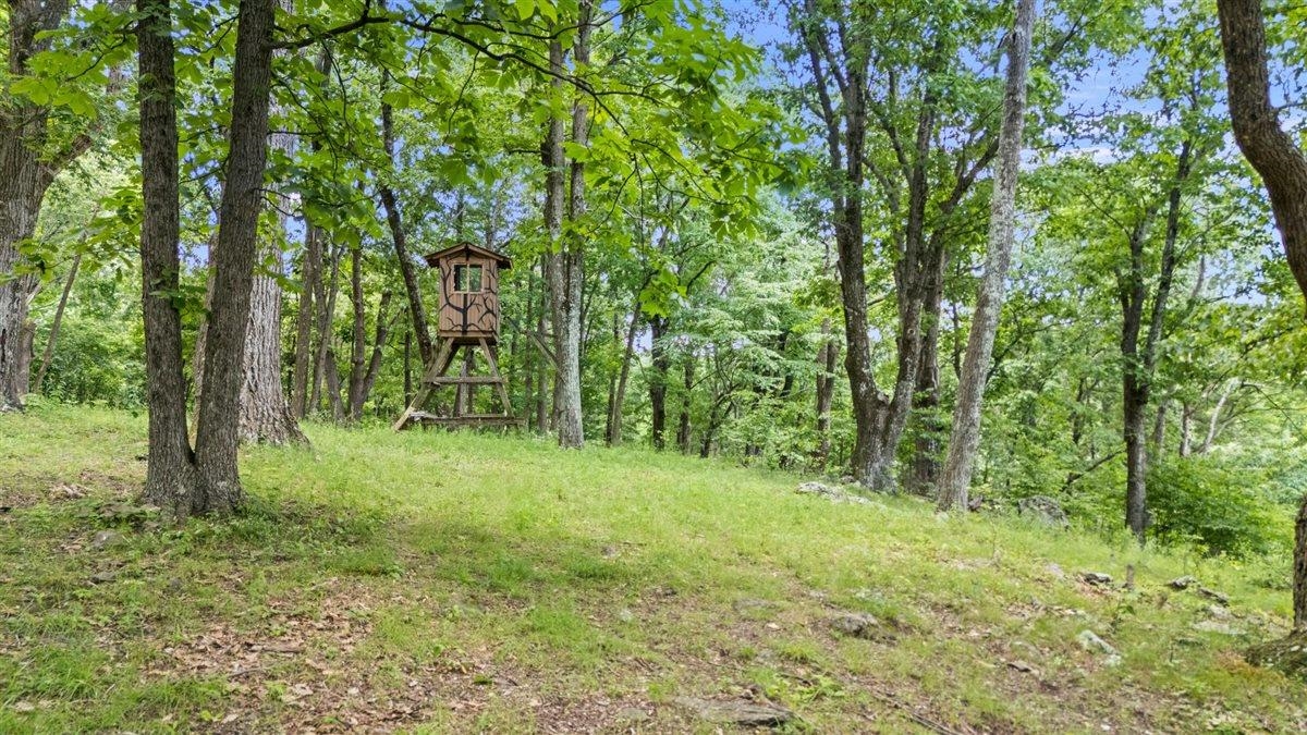 Lot 19-20 Hidden Hill Road Stanley, VA 22851 - Photo 12 of 20