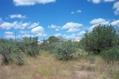 1128 Hoyos Court Rio Rico, AZ 85648 - Photo 6 of 6