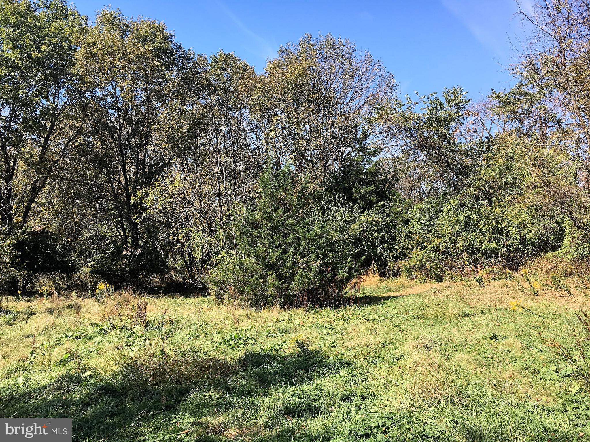 45 Fruitville Road Pottstown, PA 19464 - Photo 8 of 8 Beautiful 1 ac lawn and wooded grounds.