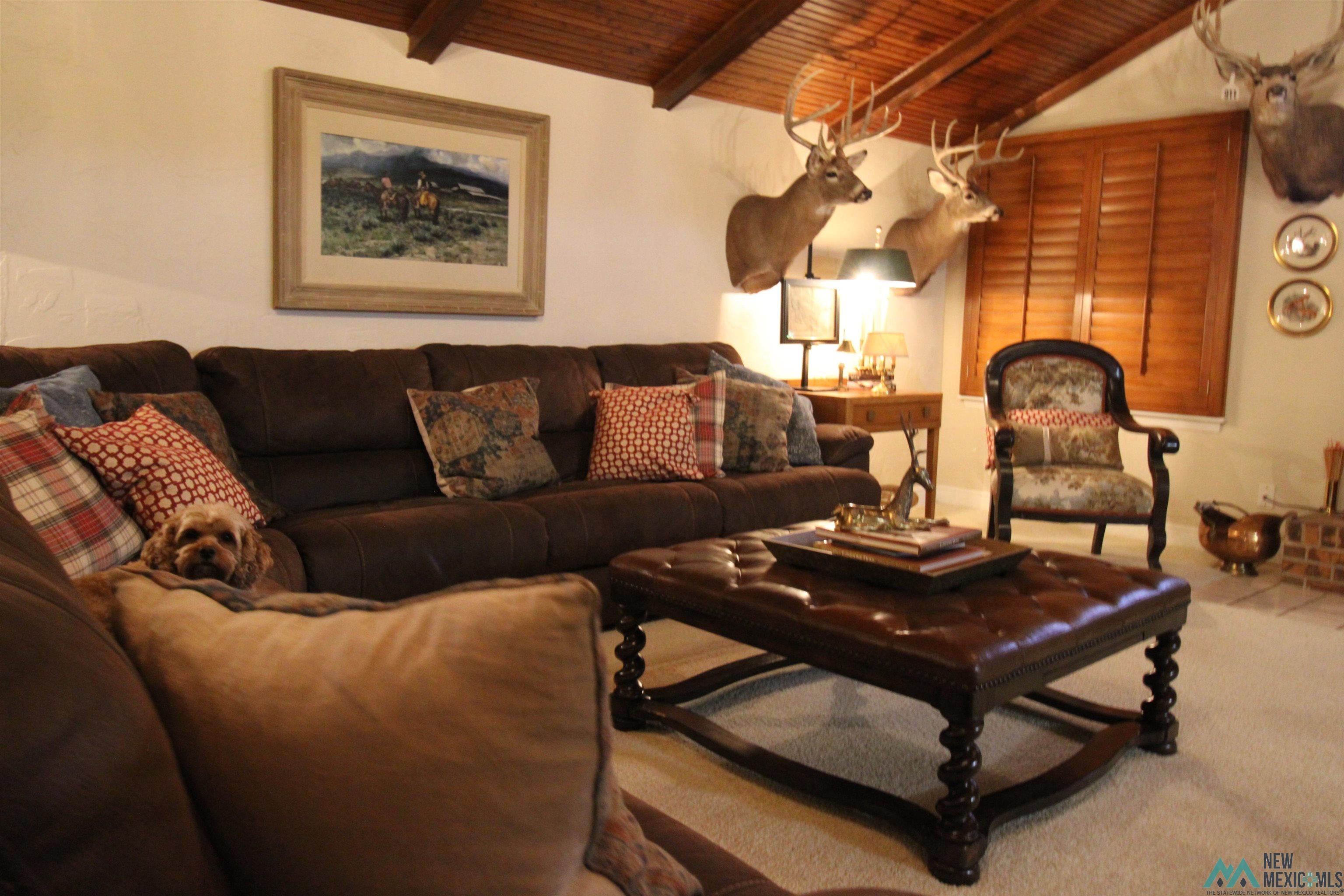 4024 South Spring Loop Roswell, NM 88203 - Photo 39 of 91 Gallery Image 39