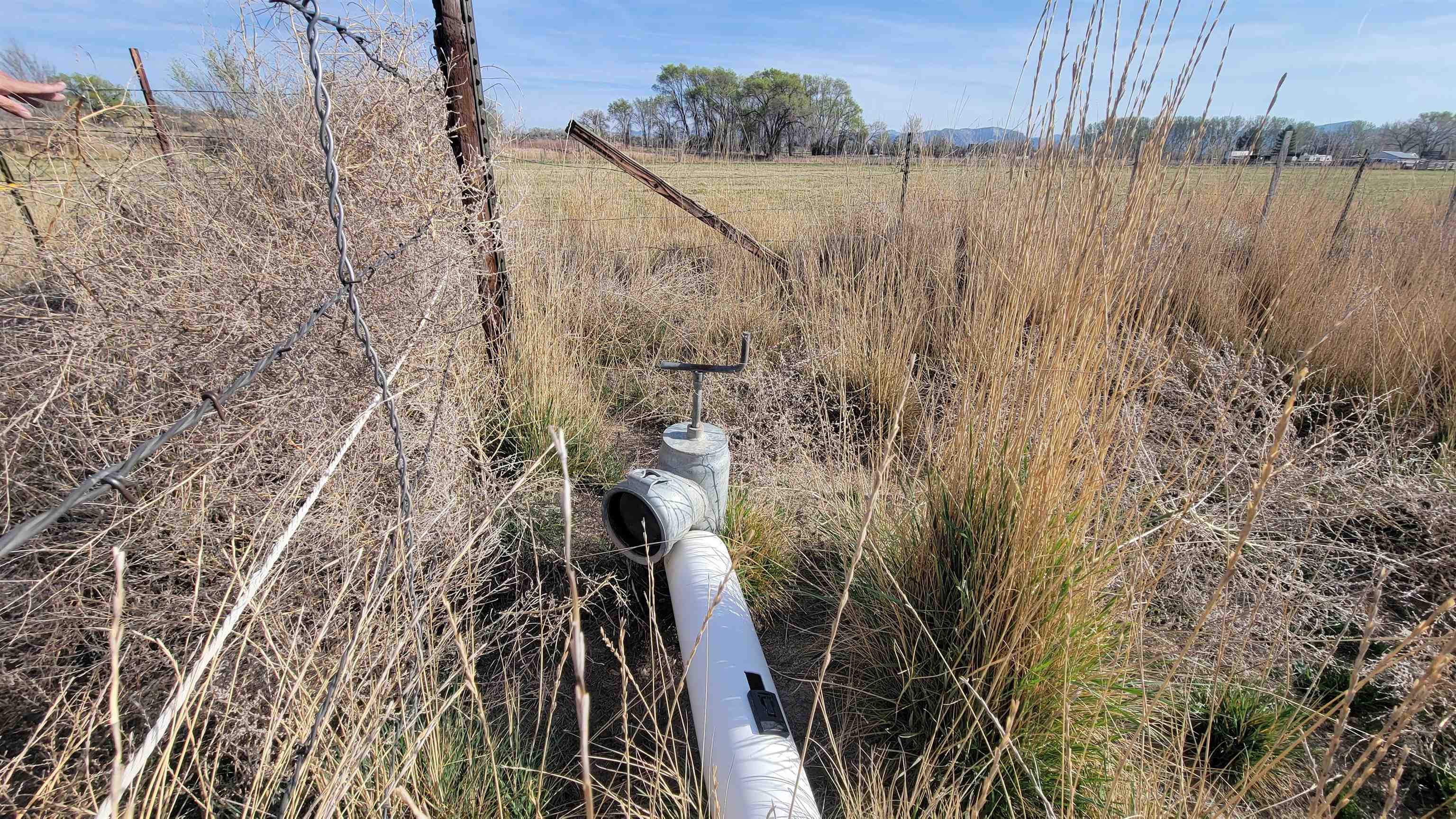 1844 M Road Fruita, CO 81521 - Photo 7 of 13 a view of a lake with a yard