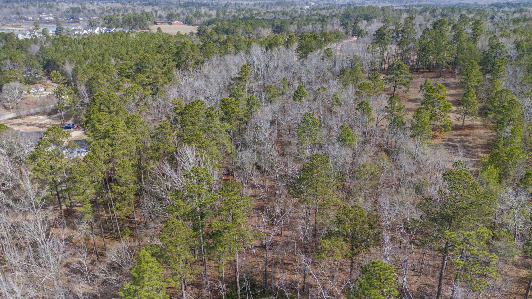 2260 Willis Foreman Road Hephzibah, GA 30815 - Photo 31 of 32 3-web-or-mls-DJI_20250224105627_0806_D