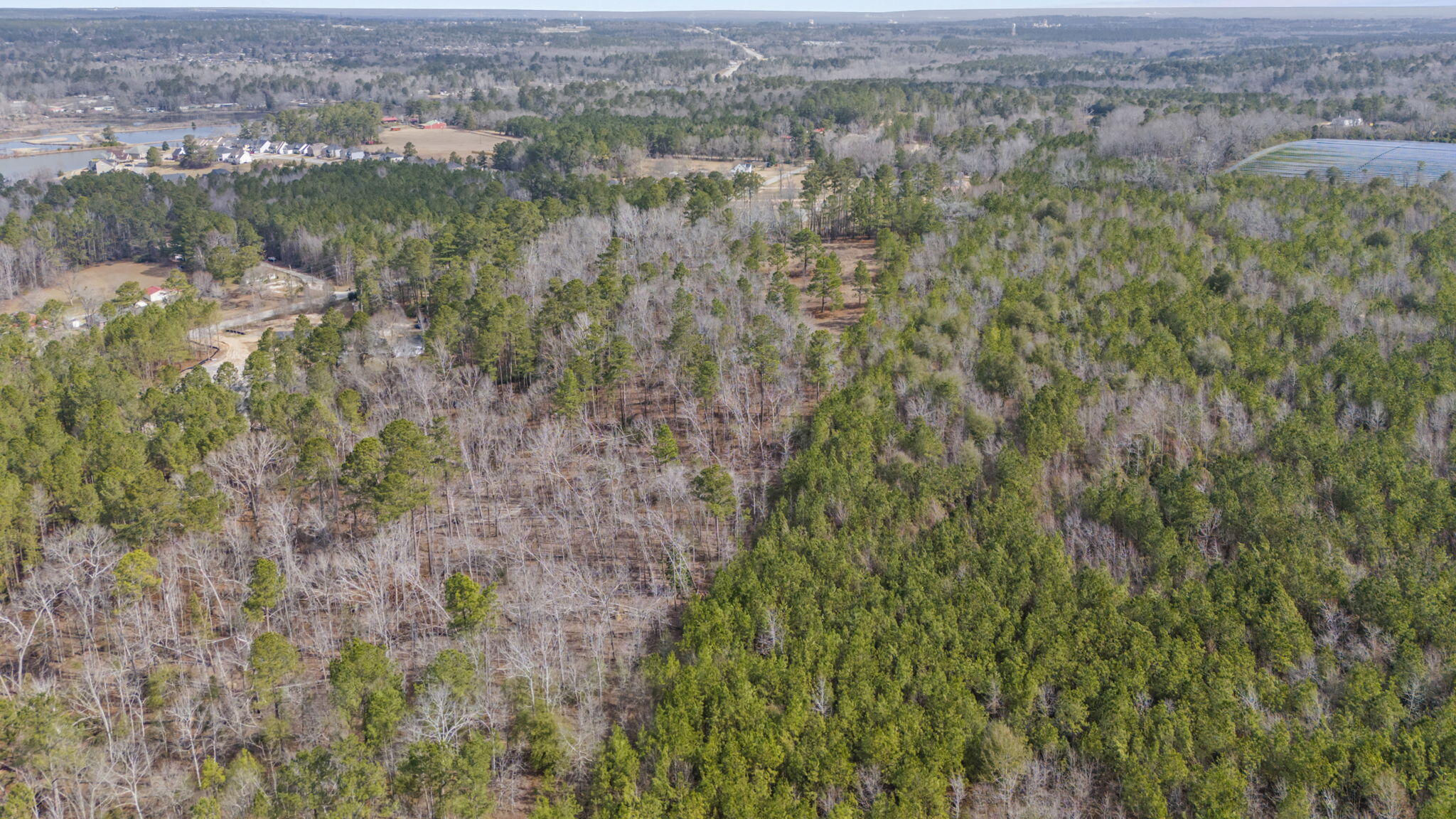 2260 Willis Foreman Road Hephzibah, GA 30815 - Photo 32 of 32 4-web-or-mls-DJI_20250224105652_0811_D