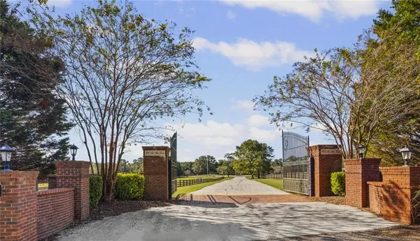 a view of a park with large trees