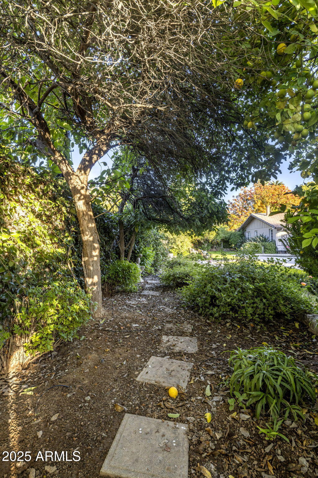 516 West Lawrence Road Phoenix, AZ 85013 - Photo 57 of 65 a backyard of a house with lots of green space