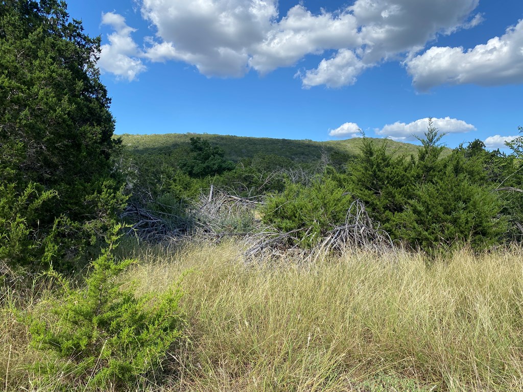 0 Old Rocksprings Road Leakey, TX 78873 - Photo 6 of 18