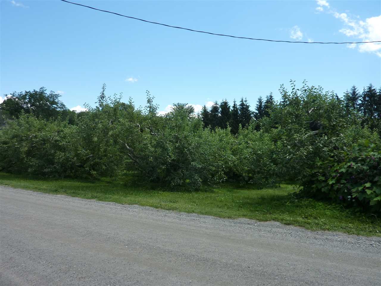 Lot 1 Rotax Road, Unit 1A North Ferrisburgh, VT 05473 - Photo 3 of 3 Gallery Image 3