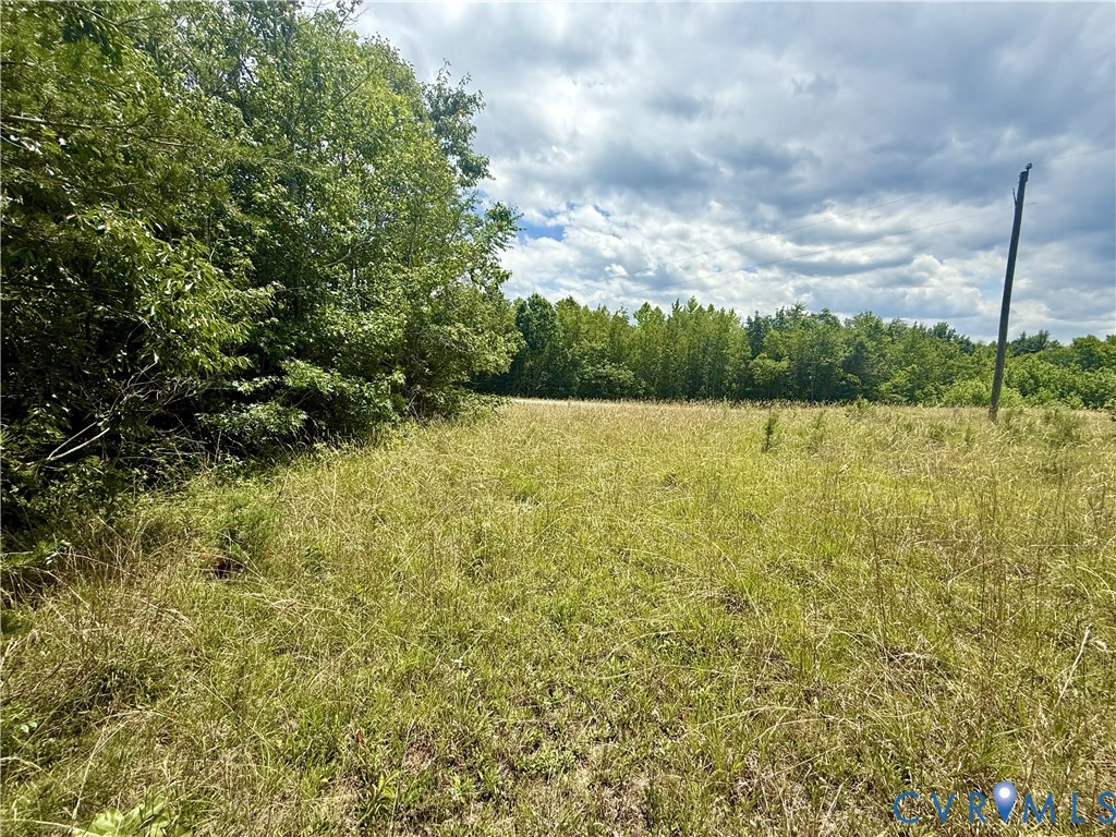 Lot 25 Whispering Wood Road Meherrin, VA 23954 - Photo 9 of 13