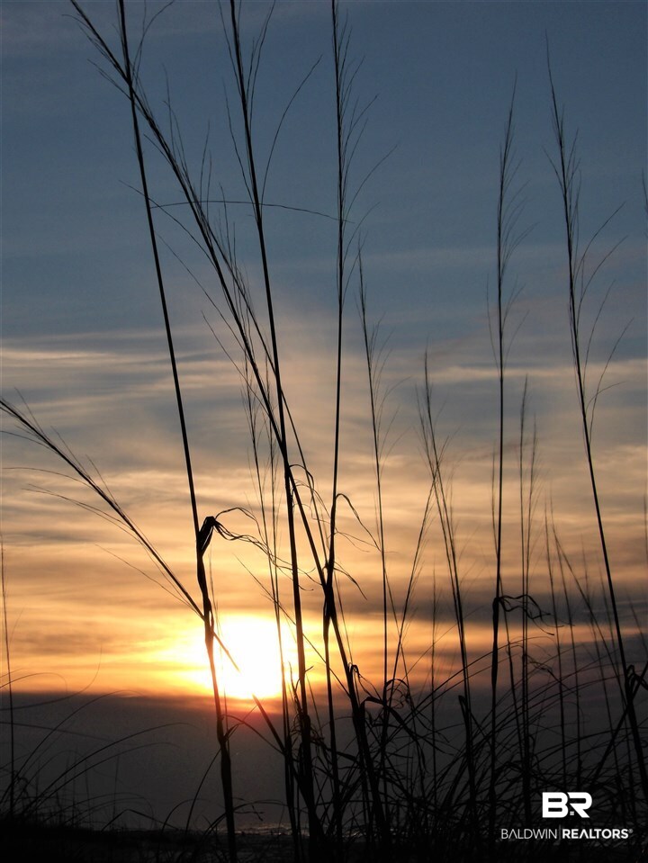 497 Plantation Road, Unit 1244 Gulf Shores, AL 36542 - Photo 50 of 50 At the End of the Day
