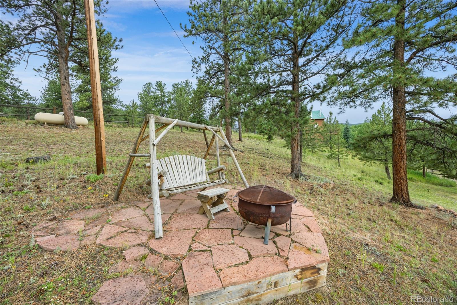 193 Twilight Terrace Drive Bailey, CO 80421 - Photo 31 of 50 a view of a chair and tables in the yard