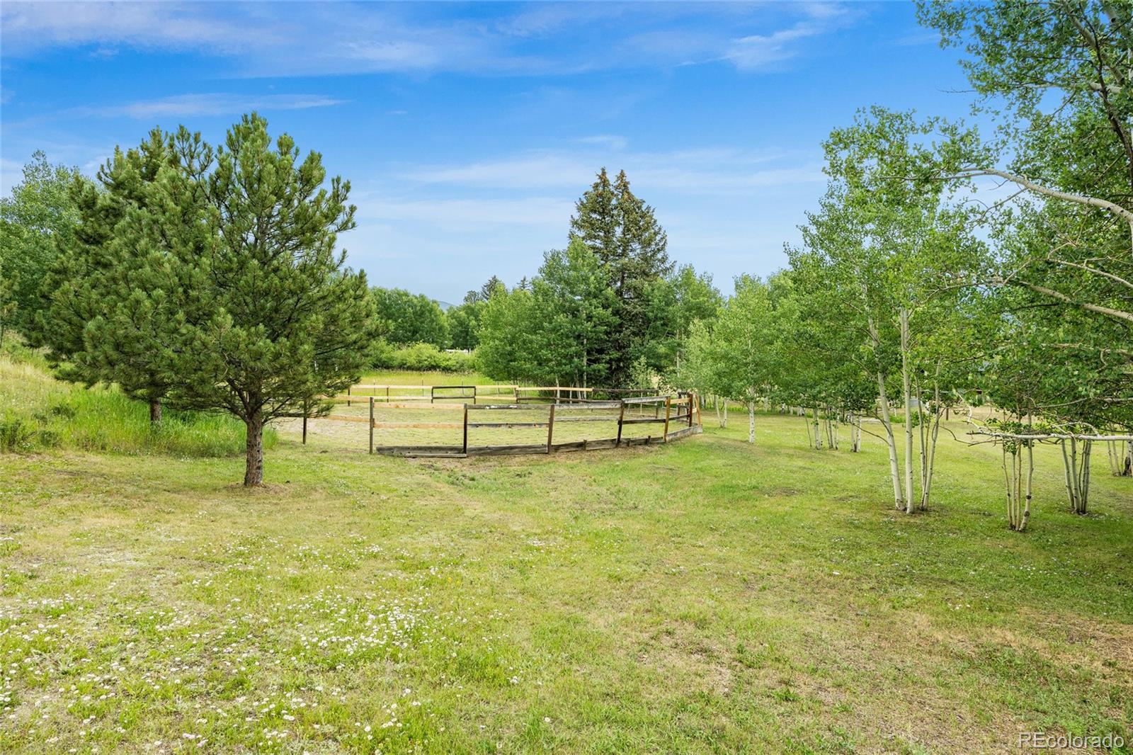 193 Twilight Terrace Drive Bailey, CO 80421 - Photo 41 of 50 a swimming pool with trees in the background