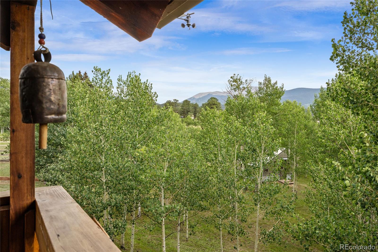 193 Twilight Terrace Drive Bailey, CO 80421 - Photo 7 of 50 a view of a small yard