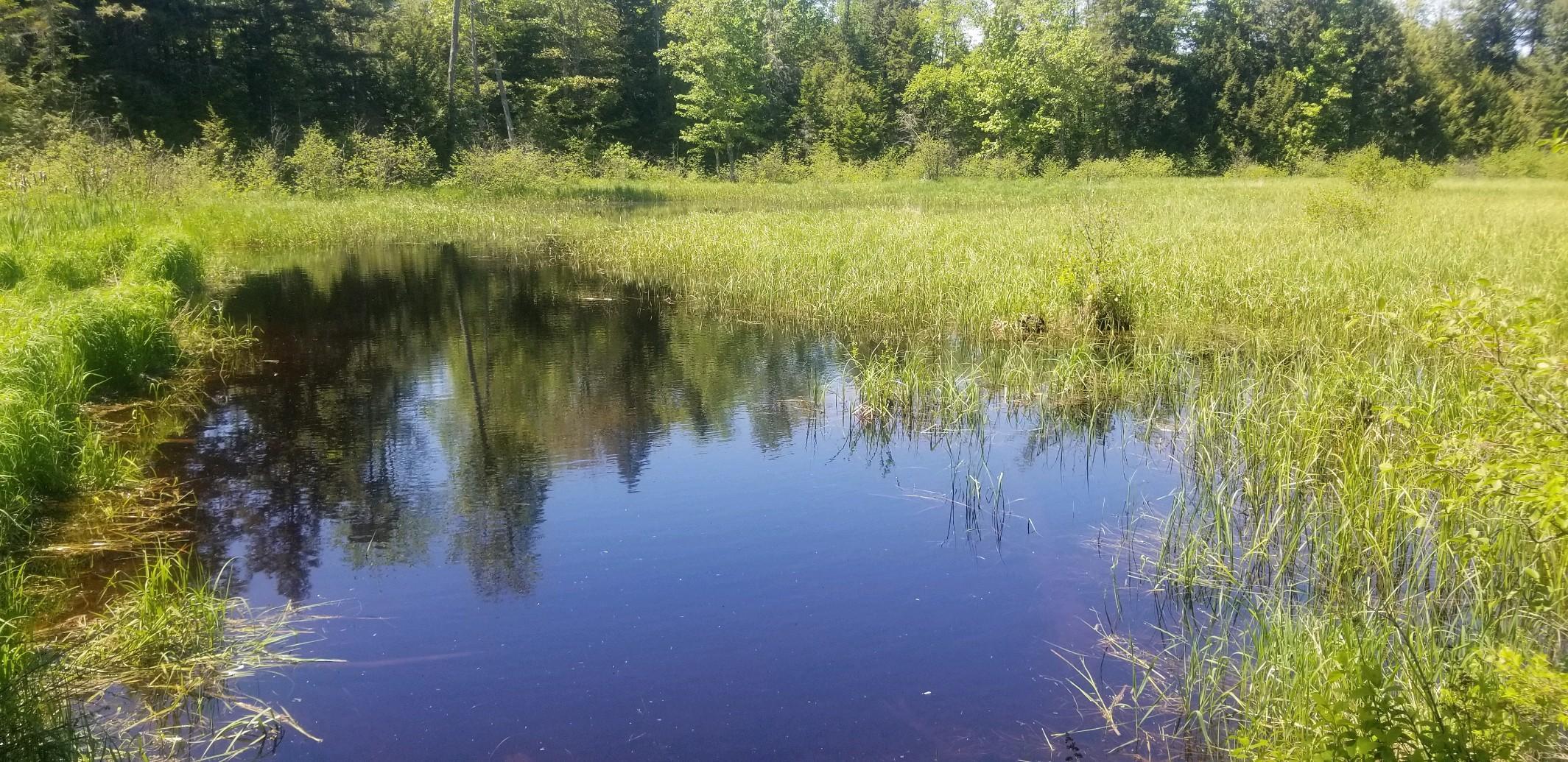0 Maranacook Road Winthrop, ME 04364 - Photo 4 of 6 2019060795132300