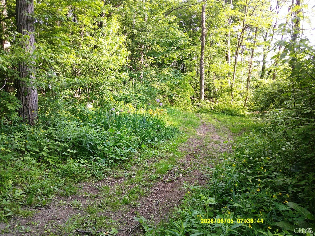 17991 Ny State Rte 177 Adams, NY 13606 - Photo 47 of 50