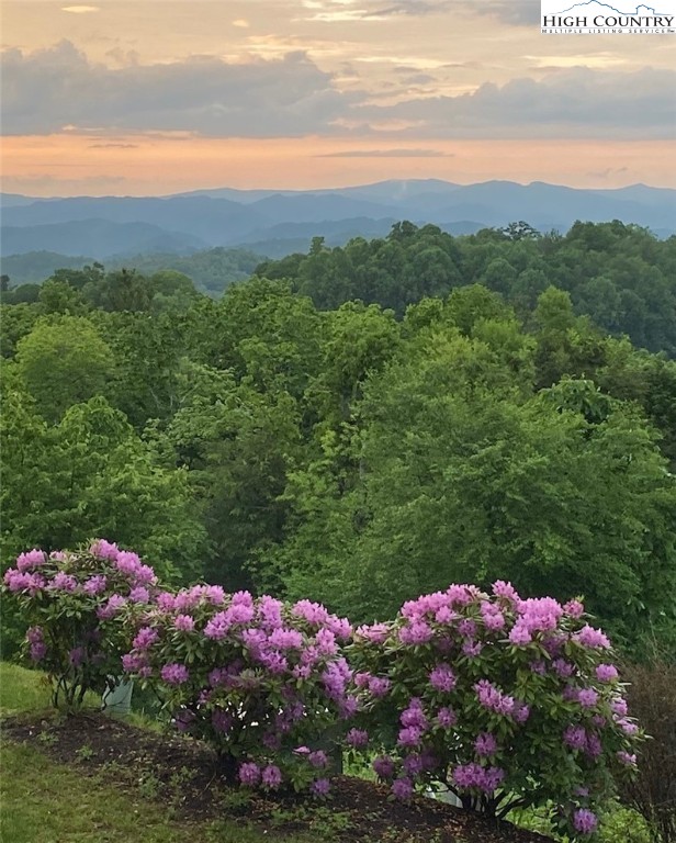 152 Red Tail Summit, Unit CI2 Boone, NC 28607 - Photo 13 of 33 a view of a bunch of flowers