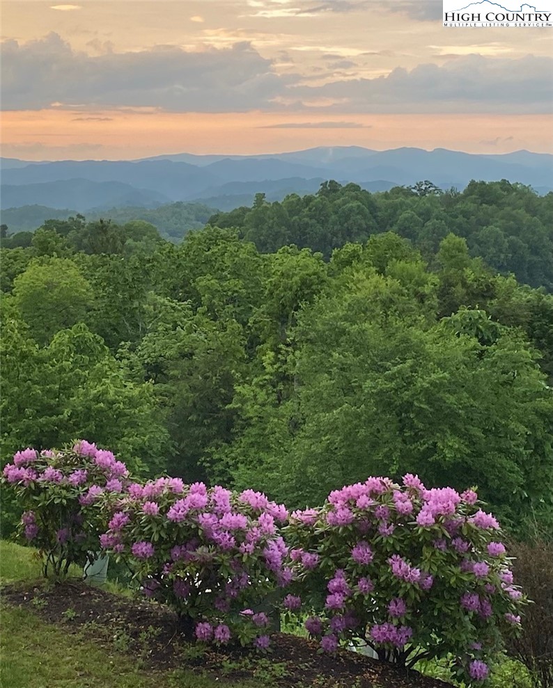 152 Red Tail Summit, Unit CI2 Boone, NC 28607 - Photo 13 of 33 Gallery Image 13