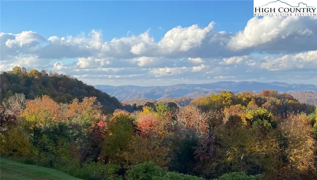 a view of a lot of trees