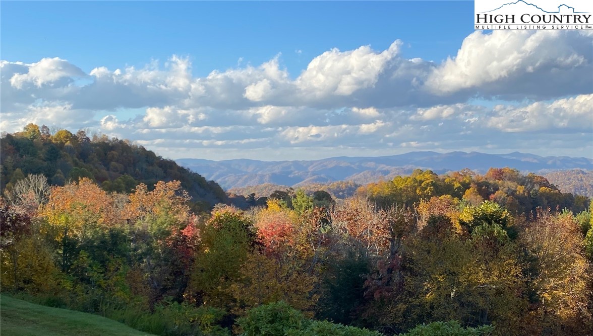 152 Red Tail Summit, Unit CI2 Boone, NC 28607 - Photo 14 of 33 a view of a lot of trees