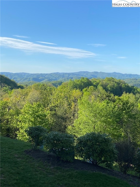 152 Red Tail Summit, Unit CI2 Boone, NC 28607 - Photo 15 of 33 a view of a field with an ocean