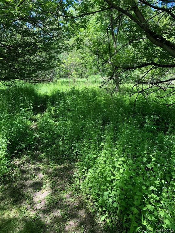 4128 Burns Line Road Croswell, MI 48422 - Photo 13 of 16
