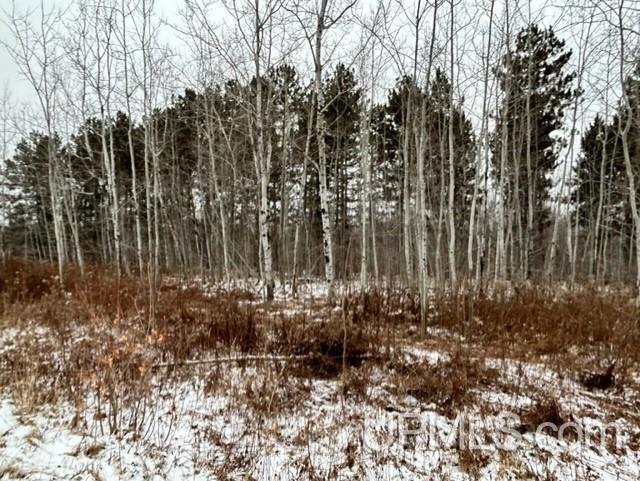 Tbd4 Larson Road Atlantic Mine, MI 49905 - Photo 36 of 41 Gallery Image 36