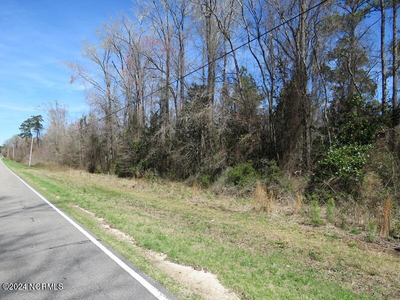 Tbd Regan Church Road Lumberton, NC 28358 - Photo 10 of 18 IMG_7520