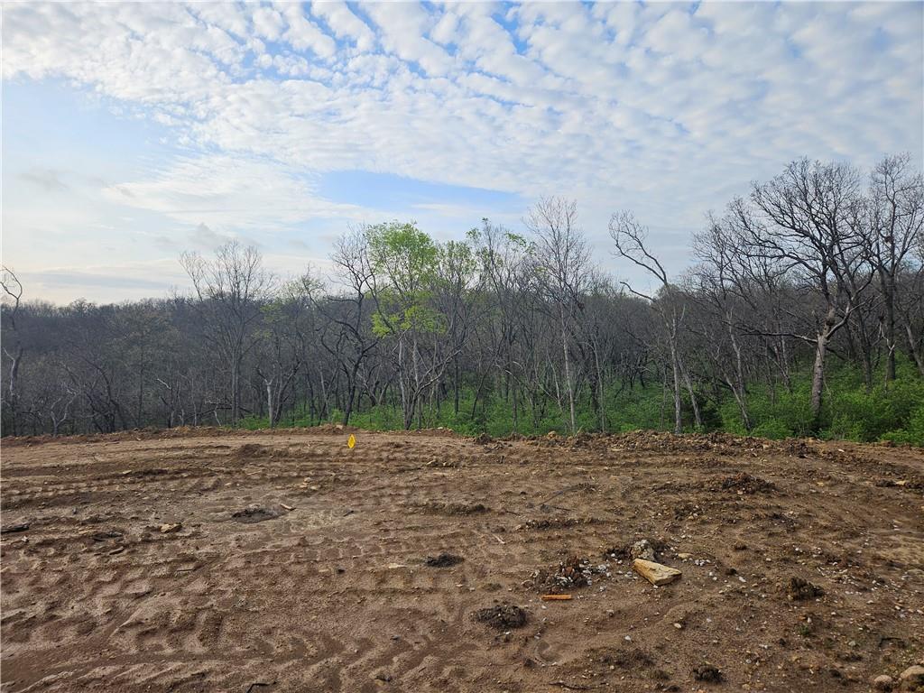 7031 Oak Ridge Drive Shawnee, KS 66217 - Photo 3 of 15