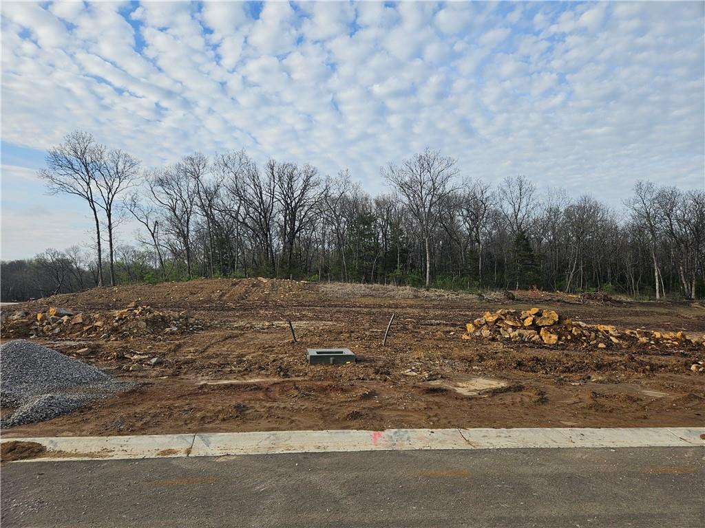 7031 Oak Ridge Drive Shawnee, KS 66217 - Photo 5 of 15